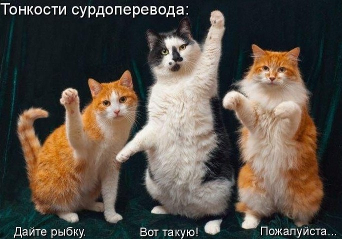 структурный гороскоп