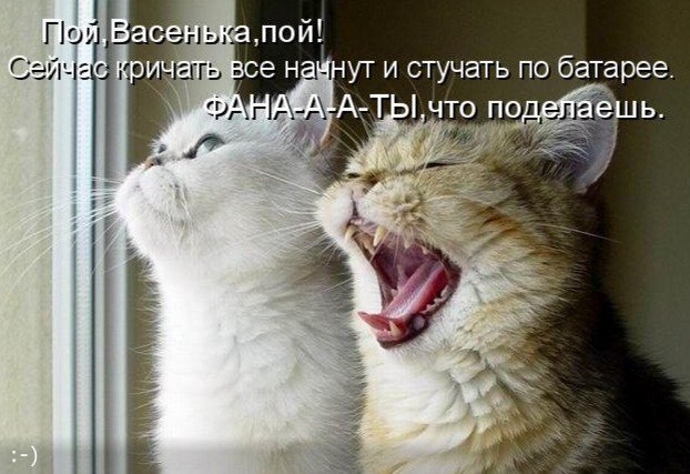структурный гороскоп
