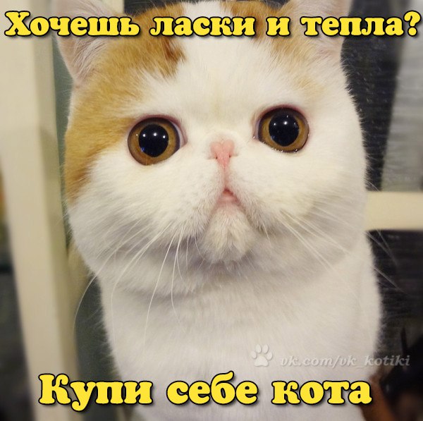 структурный гороскоп