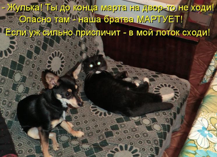 структурный гороскоп