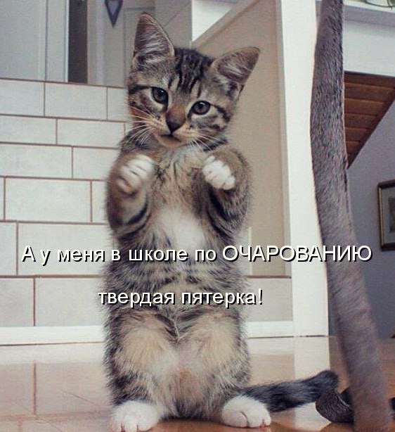 структурный гороскоп