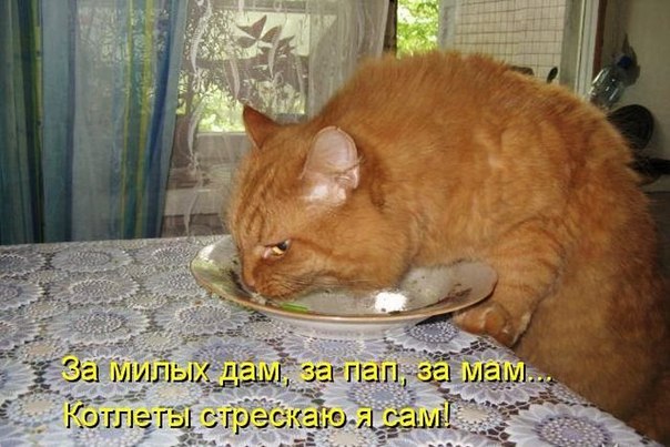 структурный гороскоп