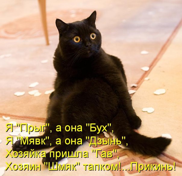 структурный гороскоп